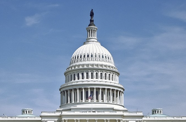 FIIDS PR Policy Requests Important to Indian Americans for the118th congress and India Caucus